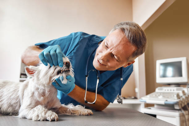 Best Emergency Root Canal Treatment in Presidential Lakes Estates, NJ